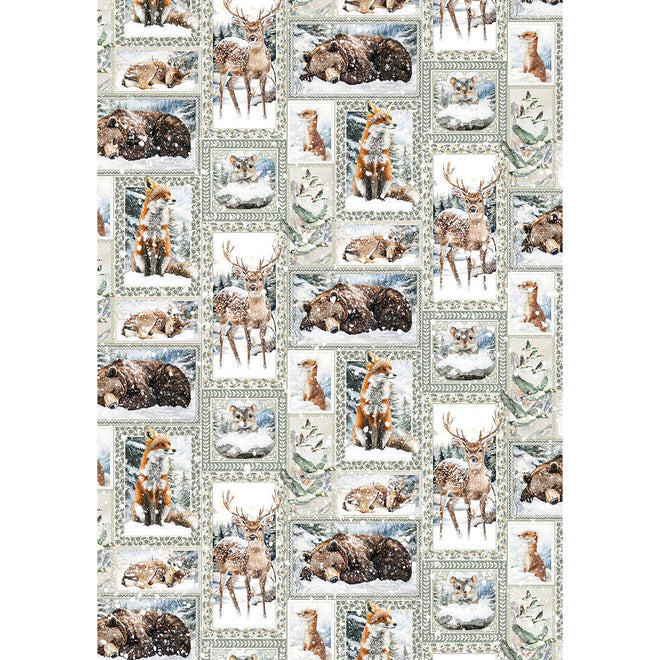 Rice Paper A5 MIXED 8/Pkg Forest Tales