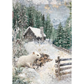 Rice Paper A5 MIXED 8/Pkg Forest Tales