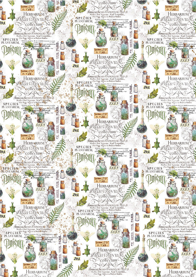 Vellum Wizard Academy Paper Patterns A4 6/Pkg