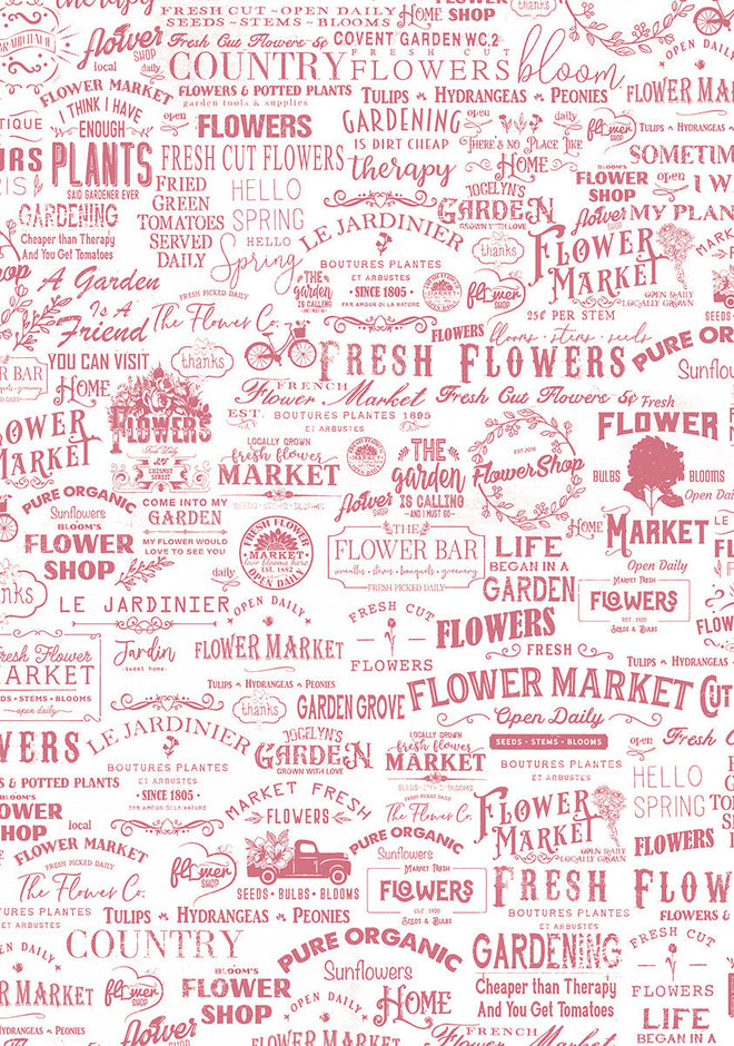 Vellum Flower Shop Paper Patterns A4 6/Pkg