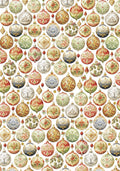 Vellum The Nutcracker Paper Patterns A4 6/Pkg