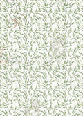 Vellum Cabinet Of Curiosities Paper Patterns A4 6/Pkg