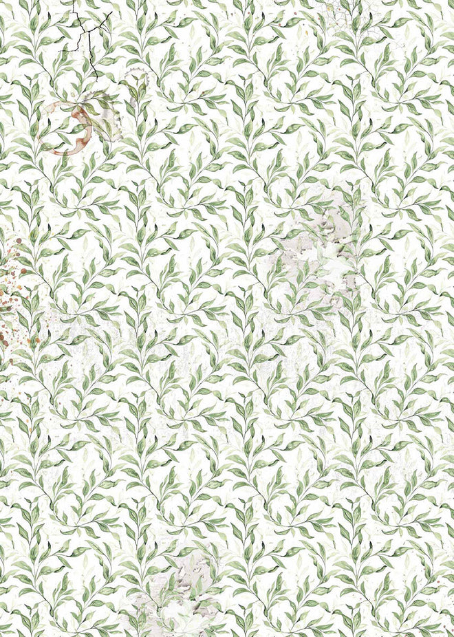 Vellum Cabinet Of Curiosities Paper Patterns A4 6/Pkg