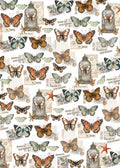 Vellum Cabinet Of Curiosities Paper Patterns A4 6/Pkg