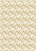 Vellum Blessing Day Paper Patterns A4 6/Pkg