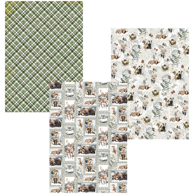Deluxe Paper Silver & Vellum Dual Pack A4 MIXED 6/Pkg Forest Tales