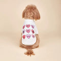 Valentine Hearts Dog Tee – Cute Love Print Pet Shirt