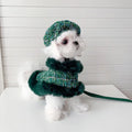 Evergreen Heritage Tweed Dog Harness Set | Harness Hat and Leash Outfit