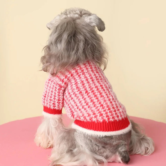 Rosalinda Cozy Knit Dog Sweater | Warm Everyday Dog Sweater