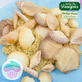 Seashells Silicone Mould