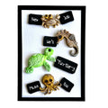 Octopus and Seahorse Silicone Mould