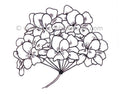 Frog's Whiskers Ink Stamps - Hydrangea Flower