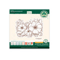 Petunia Background Acrylic Photopolymer Stamp Set (2pc)