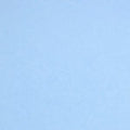 Colorplan 12X12 Cardstock 100#CV - 10 Sheets