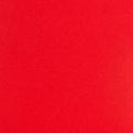 Colorplan 12X12 Cardstock 100#CV - 10 Sheets