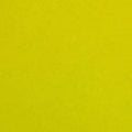 Colorplan 12X12 Cardstock 100#CV - 10 Sheets