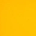 Colorplan 12X12 Cardstock 100#CV - 10 Sheets