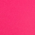Colorplan 12X12 Cardstock 100#CV - 10 Sheets