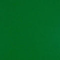 Colorplan 12X12 Cardstock 100#CV - 10 Sheets