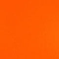 Colorplan 12X12 Cardstock 100#CV - 10 Sheets