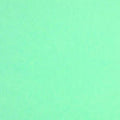 Colorplan 12X12 Cardstock 100#CV - 10 Sheets