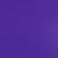 Colorplan 12X12 Cardstock 100#CV - 10 Sheets