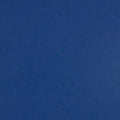 Colorplan 12X12 Cardstock 100#CV - 10 Sheets