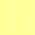 Colorplan 12X12 Cardstock 100#CV - 10 Sheets