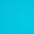 Colorplan 12X12 Cardstock 100#CV - 10 Sheets