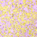 Cosmic Shimmer Aurora Flakes 50ml