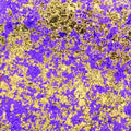 Cosmic Shimmer Aurora Flakes 50ml