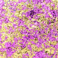Cosmic Shimmer Aurora Flakes 50ml