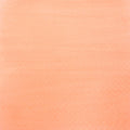 Cosmic Shimmer Sam Poole Botanical Stains 60ml