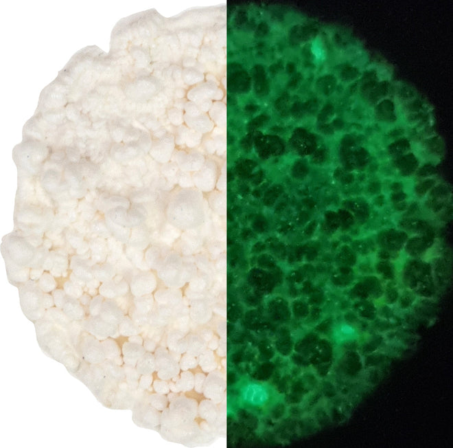Cosmic Shimmer Fluffy Stuff Glow in the Dark 30 ml