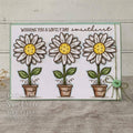 Creative Expressions Sam Poole Daisy Bloom 6 in x 4 in Clear Stamp Set