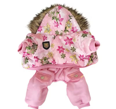 Image without description.
