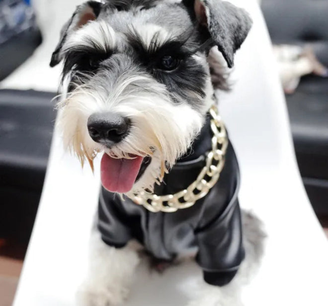 Boujee Dog Leather Jacket | Dog Jacket for Cold Weather