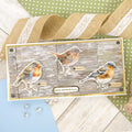 Delightful Die-Cuts - Beautiful Birds