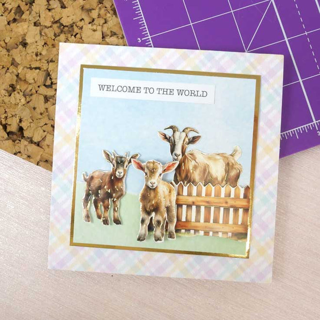 Delightful Die-Cuts - Evergreen Farm