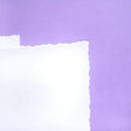 Deckle-Edge Card Blanks & Envelopes Megabuy