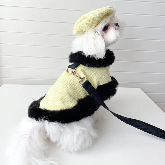 Plaid Tweed Harness Set | Dog Harness Leash and Hat Set