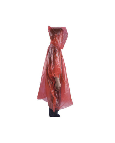 Image without description.