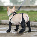 Dog Boots | Waterproof Dog Boots for Winter & Rain