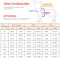 Raincouver Dog Coat – Luxury Waterproof Outerwear for Dogs