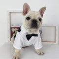 Tuxedog Suit – Luxury Formal Outfit for Dogs