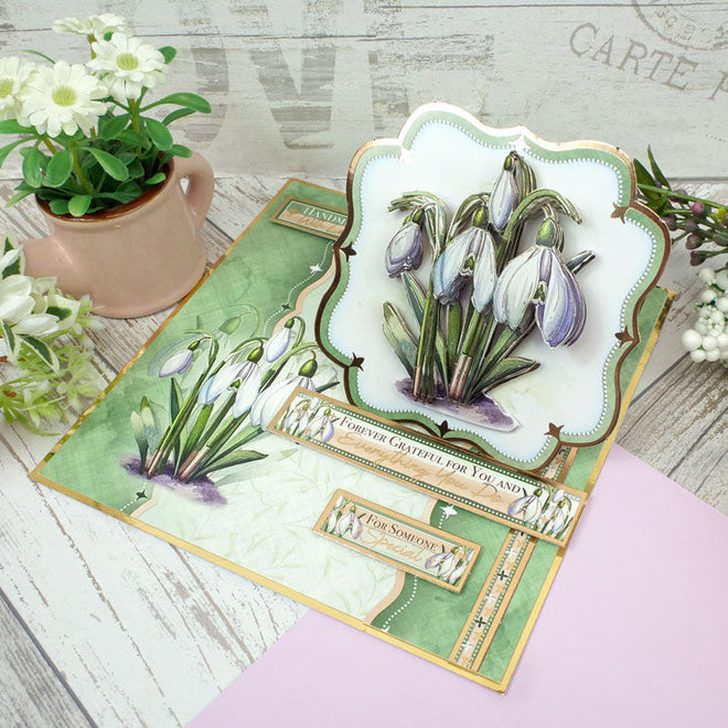 In Full Bloom - Floral Delights Deco-Large Set - Stunning Snowdrops