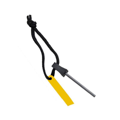 Image without description.