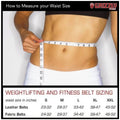 Grizzly 6" PADDED LEATHER PACESETTER WEIGHT LIFTING BELT 8446-04