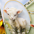 Spring is Here Deco-Large Set - A Boo-rilliant Birthday