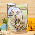 Spring is Here Deco-Large Set - A Boo-rilliant Birthday